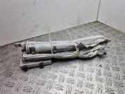 Dach SRS rechts SEAT LEON (1P1) 2.0 TDI 16V 1P0880742C