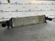 Ladeluftkühler MERCEDES-BENZ B (W246, W242) B 250 4-matic (246.246) A2465000900