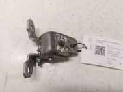 Türscharnier vorne links Renault Grand Scenic III (JZ) 804010016RD