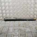 Stoßdämpfer hinten links