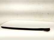 Vertikale Verkleidung auf der rechten Seite der Windschutzscheibe