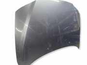 Motorhaube VOLVO S60 I 2.4 D5 1234