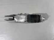 Rear right pneumo shock absorber PORSCHE PANAMERA (971) 2.9 4S 971616038G