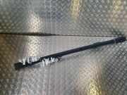 Dachreling links BMW X5 (E53)