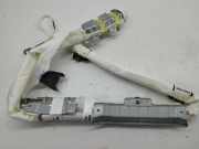 Dach SRS rechts NISSAN JUKE (F16) DIG-T 117 646819300B
