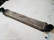 Ladeluftkühler MERCEDES-BENZ A (W169) A 200 CDI (169.308) A1695000000