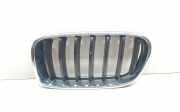 Vorderer oberer Gitter BMW X3 (F25) xDrive 20 d 7210725