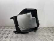 Kühlerluftumlenker BMW X6 (E71, E72) xDrive 40 d 7180625