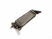 Ladeluftkühler FORD TRANSIT CONNECT (P65_, P70_, P80_) 1.8 TDCi