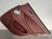 Türverkleidung rechts hinten Mercedes-Benz CLS (C219) A2197301262