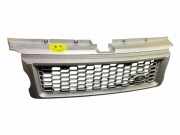 Vorderer oberer Gitter LAND ROVER DISCOVERY III (L319) 2.7 TD 4x4
