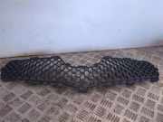 Vorderer oberer Gitter