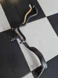KRAFTSTOFFVERTEILER EINSPRITZLEISTE VERTEILERROHR AUDI A6 (4F2, C6) 3.0 TDI quattro 059130300CA