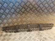 Gitter vorne unten MERCEDES-BENZ E (W210) E 320 CDI (210.026) 2108850053