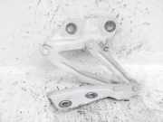 Motorhaubenscharnier links Ford Transit V363 Kasten (FCD, FDD) BK2116801AC