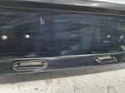 Kennzeichenbeleuchtung Verkleidung