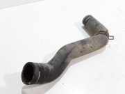 Schlauch Kühlung NISSAN PRIMERA (P12) 2.2 Di