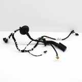 Türverkabelung hinten rechts VW TIGUAN (AD1) 2.0 TSI 4motion 5NA971694K