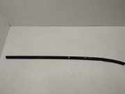 Türverkleidung rechts hinten Nissan Murano I (Z50)