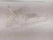 Fensterwaschtank AUDI A6 Avant (4F5, C6) 3.0 TDI quattro 4F0955453R