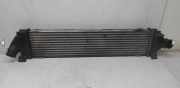 Ladeluftkühler FORD MONDEO IV (BA7) 2.0 TDCi 818239