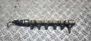 KRAFTSTOFFVERTEILER EINSPRITZLEISTE VERTEILERROHR OPEL VIVARO Furgon (F7) 2.5 DTI 0445214079