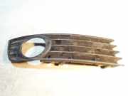 Gitter Grill vorne rechts AUDI A6 (4B2, C5) 2.5 TDI 8E0807682A