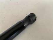 Gasfeder für Motorhaube Audi Q5 (8R) 80A823359C