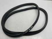 Dichtungsgummi der hinteren Tür (an der Karosserie) MERCEDES-BENZ C Coupe (C205) C 250 d (205.308)