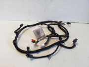 Kabelbaum Hinteren Parksensoren FIAT TIPO Hatchback (357_) 1.6 D 52030925