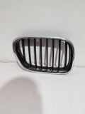 Kühlergrill rechts BMW X5 (E53) 511382478674