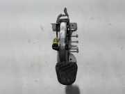 Kupplungspedal RENAULT SCÉNIC IV (J9_) 1.2 TCe (JZ16) 465039052R