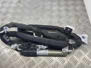 SRS Modul Dach links BMW X3 (E83) 3.0 i xDrive 843405191041