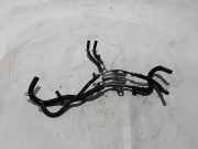 Andere Röhren NISSAN PATHFINDER III (R51) 2.5 dCi 4WD 175205X00B