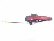 Türaußengriff hinten links FORD C-MAX II (DXA/CB7, DXA/CEU) 2.0 TDCi DM51R224A37