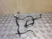 Kabel Tür Audi Q5 (8R) 8R0971693B