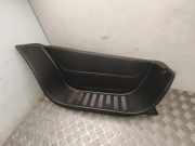 Schwellerverkleidung vorne links RENAULT MASTER III Furgon (FV) 2.3 dCi 150 FWD 769520009R