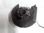 Nabe hinten rechts FORD GALAXY III (CK) 2.0 TDCi 5310650