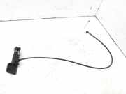 Halteband für Kraftstoffbehälter Citroen C5 III Break (RW)