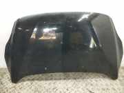 Motorhaube Ford C-Max II (DXA)