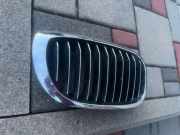 Vorderer oberer Gitter BMW 3 Compact (E46) 316 ti 7064320