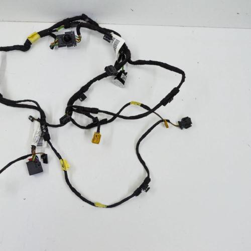 Türverkabelung hinten rechts AUDI A8 D4 (4H_) 3.0 TFSI quattro 4H0971142D Bild Türverkabelung hinten rechts AUDI A8 D4 (4H_) 3.0 TFSI quattro 4H0971142D