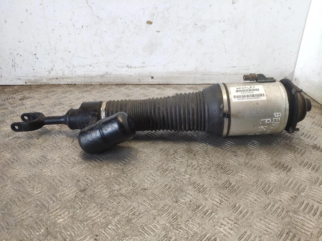 Front left pneumo shock absorber BENTLEY CONTINENTAL FLYING SPUR (3W_) 6.0 3W5616039L