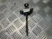 Türanschlag hinten links TOYOTA PRIUS Hatchback (_W2_) 1.5 (NHW2_)