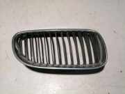 Vorderer oberer Gitter BMW 3 Coupe (E92) 320 d 7254972
