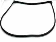 Türdichtungsgummi vorne links TOYOTA YARIS (_P1_) 1.5 (NCP13_) 62312K0010 CZ67862D