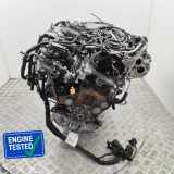 Motor AUDI Q5 (FY) 2.0 TDI quattro DETA