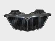 Vorderer oberer Gitter LANCIA PHEDRA (179_) 2.2 JTD (179AXC1A) 1489549693 1489546077