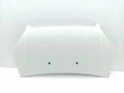 Motorhaube Fiat Doblo Kasten (223)