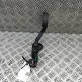 Fahrpedal Tesla Model X (5YJX) BE5C9F836AA